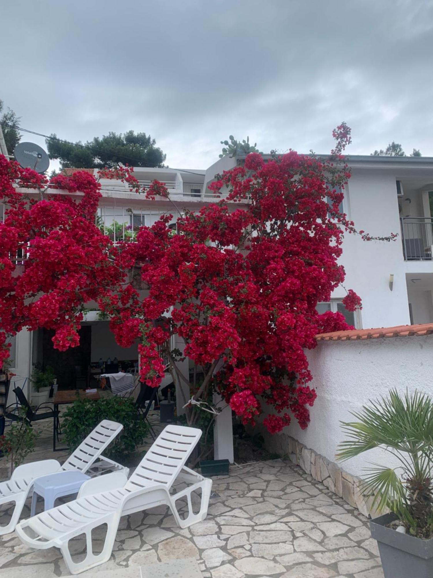 Apartments Ljiljana Бар Екстериор снимка
